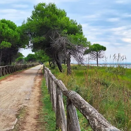 Beachfront Luminous Flat In Apartamento *
